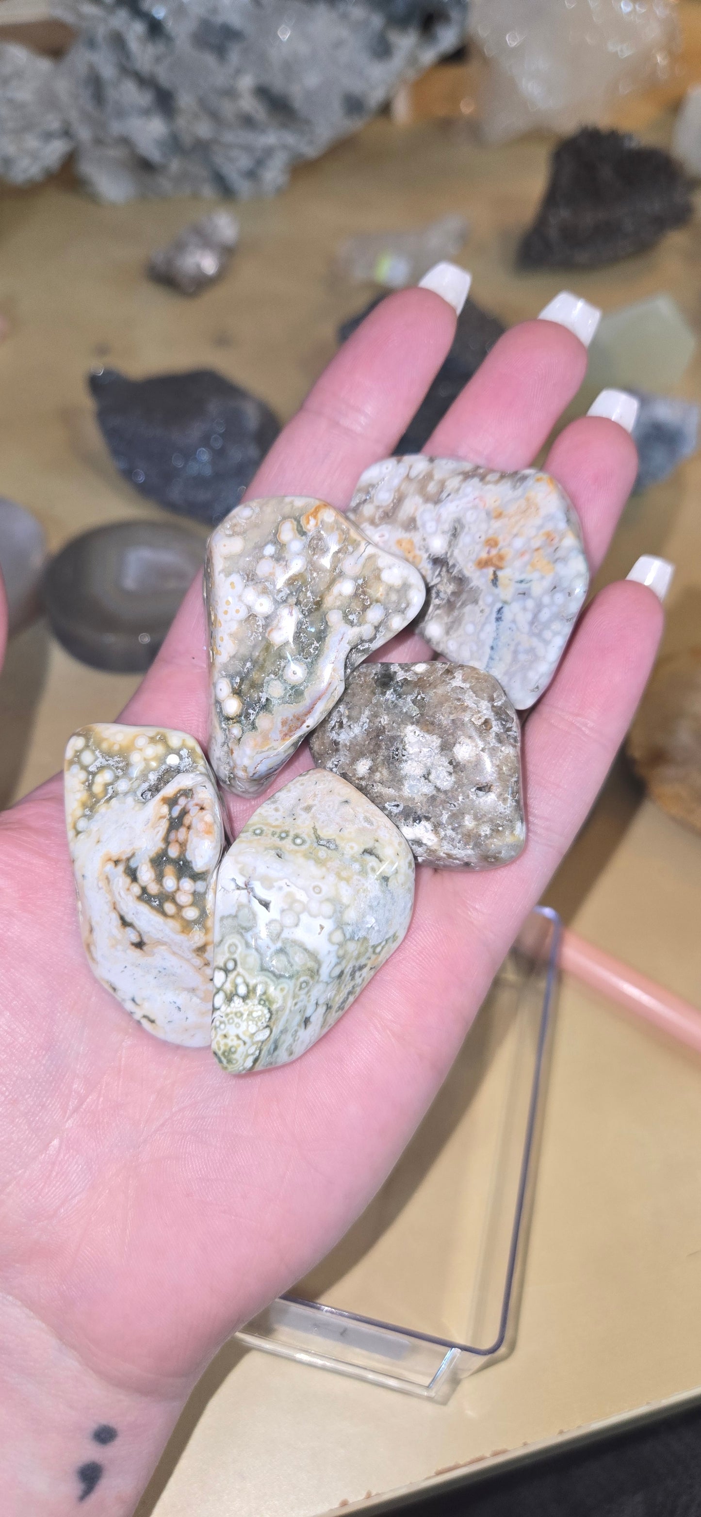Orbicular Ocean Jasper tumbles