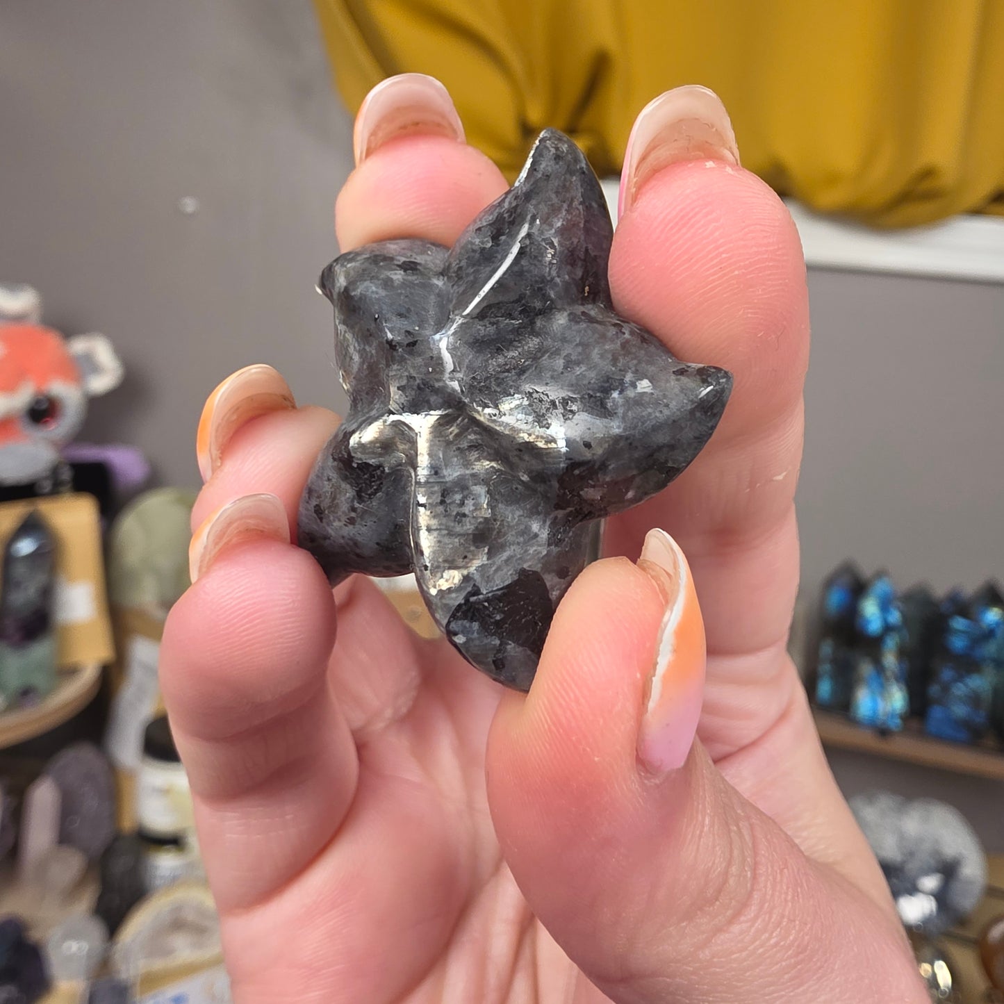 Starfish carving
