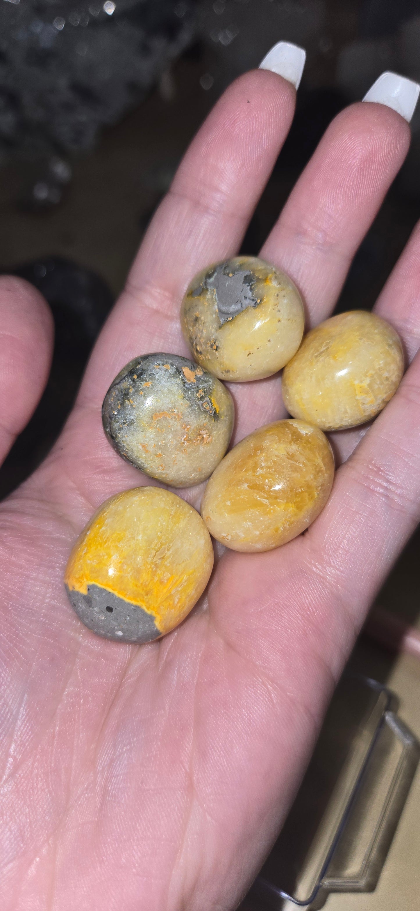 Bumblebee Jasper tumbles