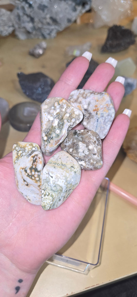 Orbicular Ocean Jasper tumbles