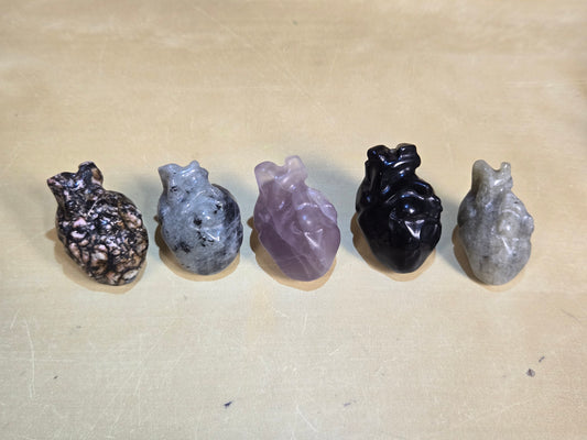 Anatomical heart carving