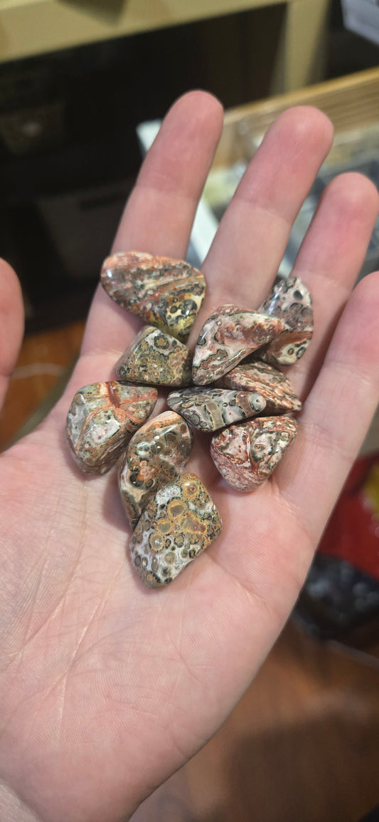 Leopard Skin Jasper tumble