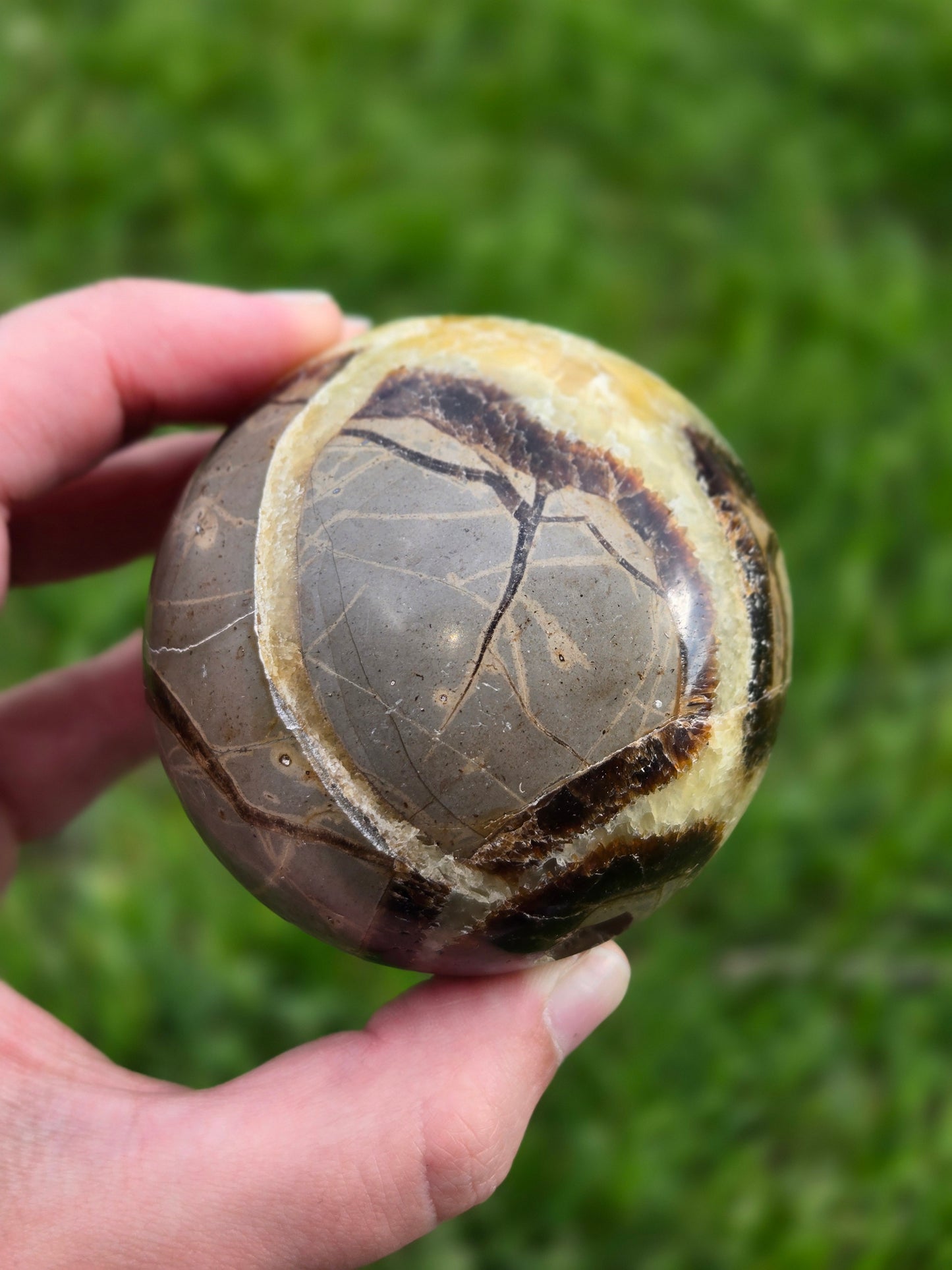 Septarian sphere