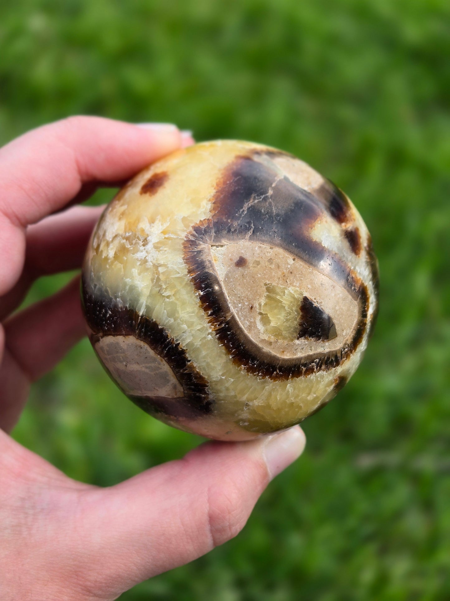 Septarian sphere