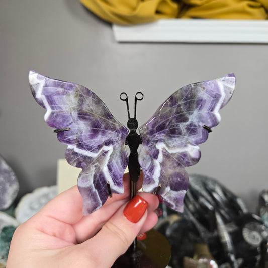 Butterfly wings with stands