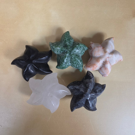 Starfish carving